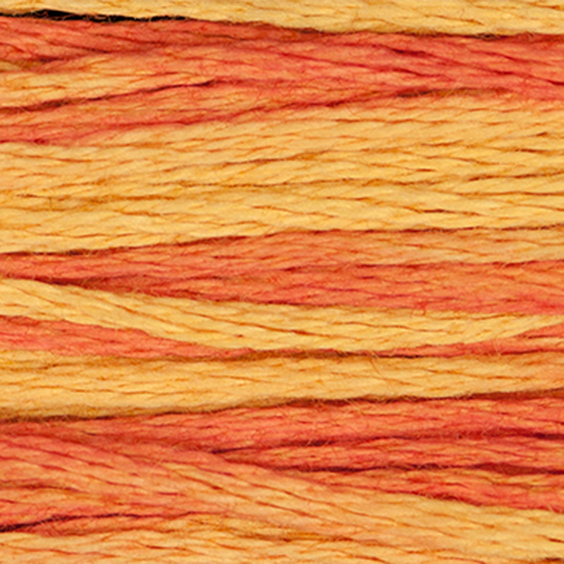 Weeks Dye Works Floss Autumn Leaves