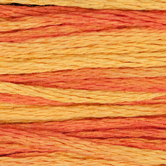 Weeks Dye Works Floss Autumn Leaves