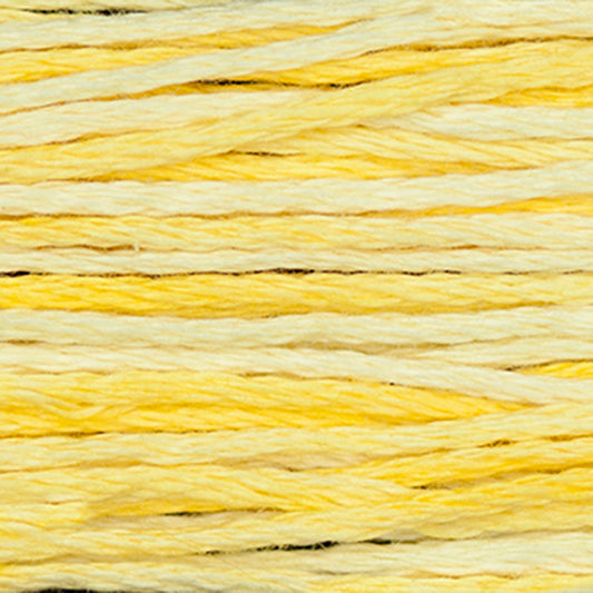 Weeks Dye Works Floss Banana Popsicle