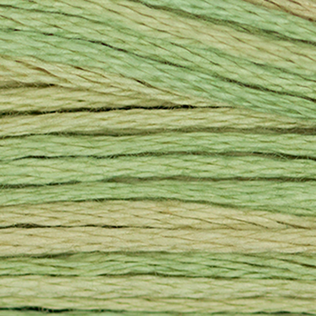 Weeks Dye Works Floss Butter Bean