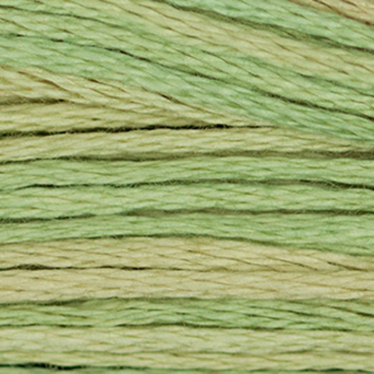 Weeks Dye Works Floss Butter Bean