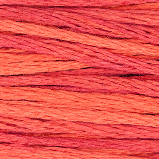 Weeks Dye Works Floss Grapefruit