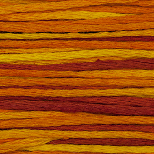 Weeks Dye Works Floss Fiesta