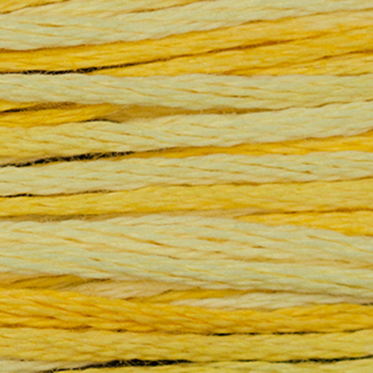 Weeks Dye Works Floss Sally's Sunshine