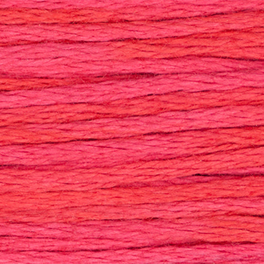 Weeks Dye Works Floss Watermelon Punch