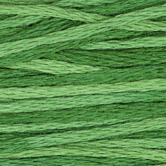 Weeks Dye Works Floss Monkey Grass