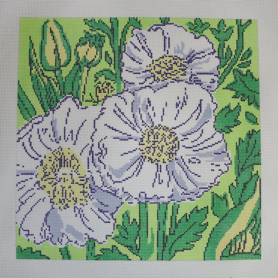 Queen Wilhemina's Poppies