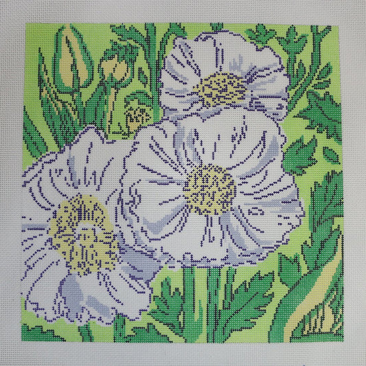 Queen Wilhemina's Poppies