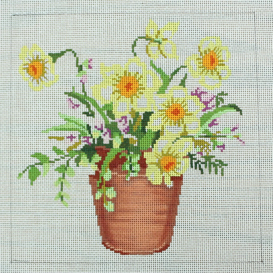 Yellow Flowers in Pot