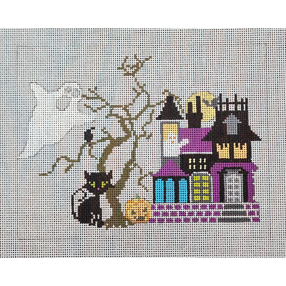 Color House w/ Cat & Tree