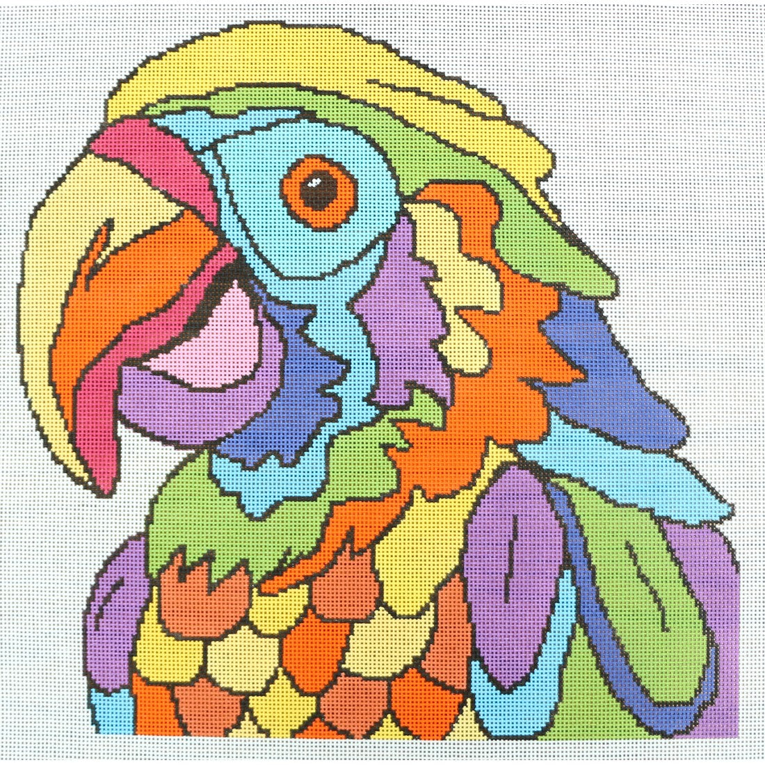 Colorful Parrot