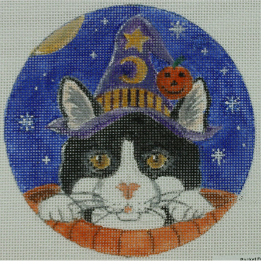 Wizard Cat in Pumpkin