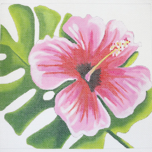 Pink Hibiscus