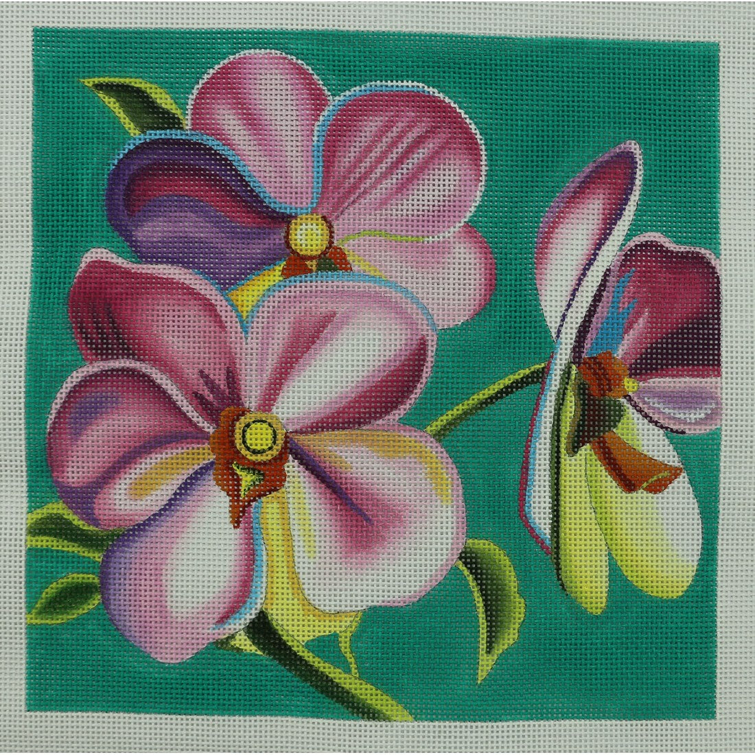 Pink Flower on Turquoise