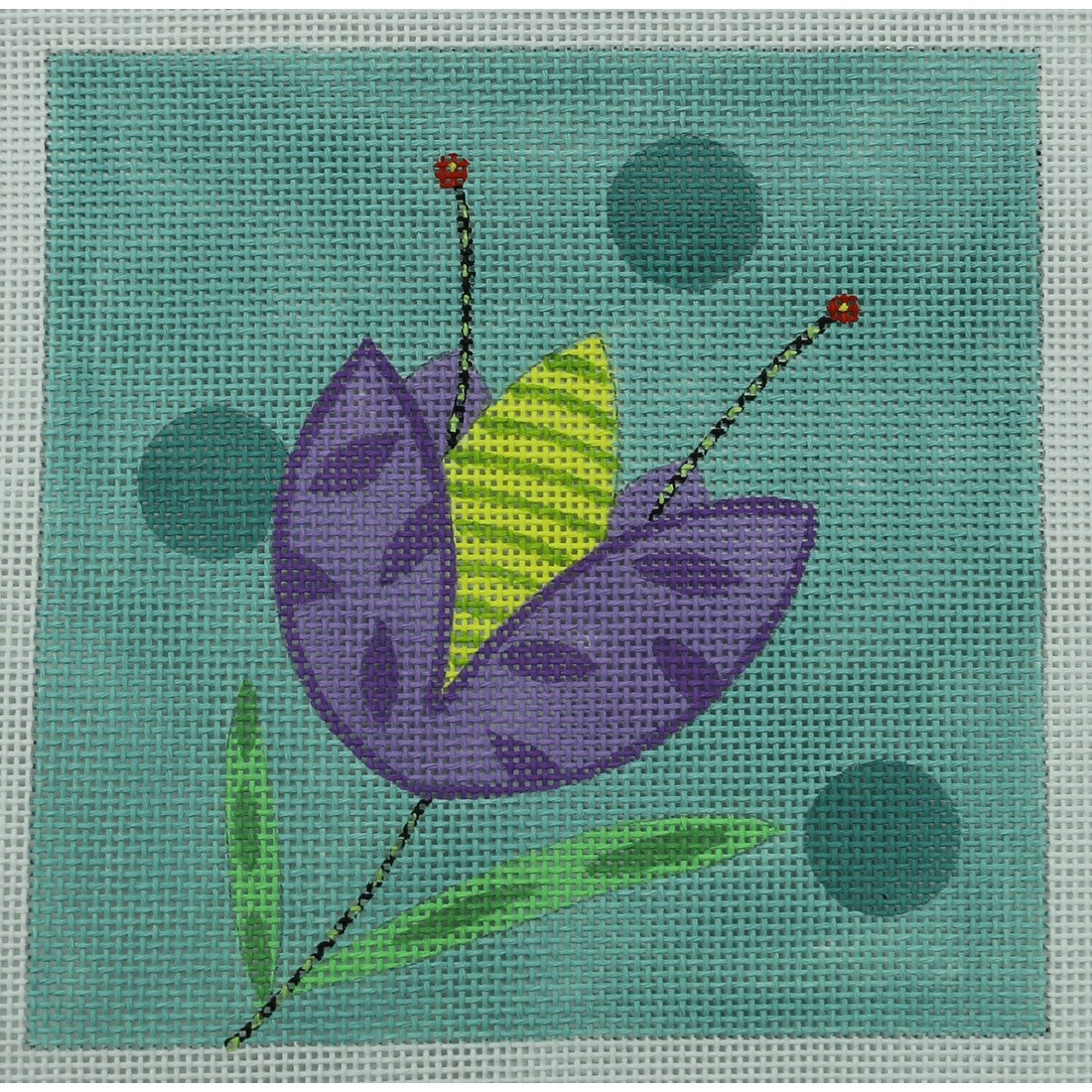 Purple Tulip