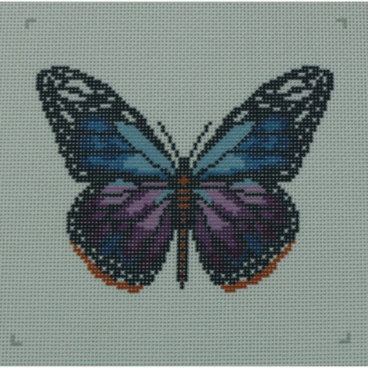 Monarch Butterfly, Purple