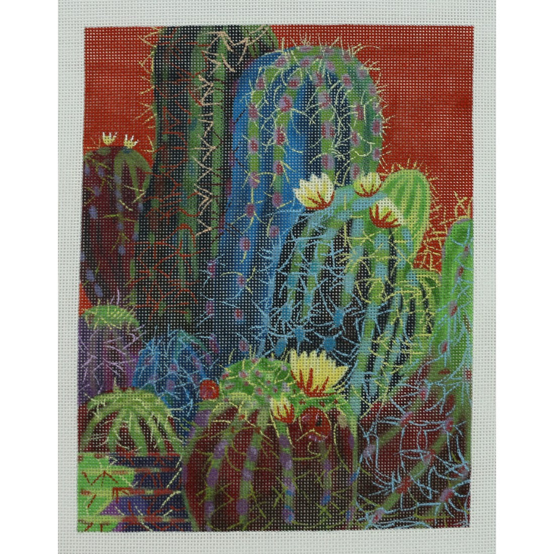 Desert Riches