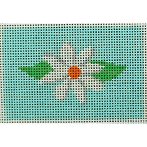 White Flower on Turquoise