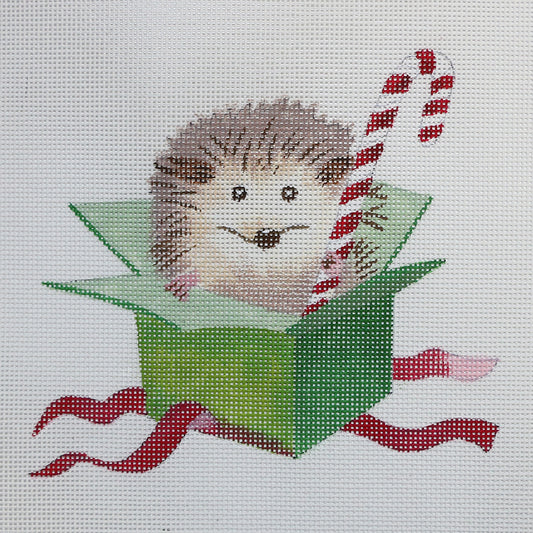 Hedgehog in Box