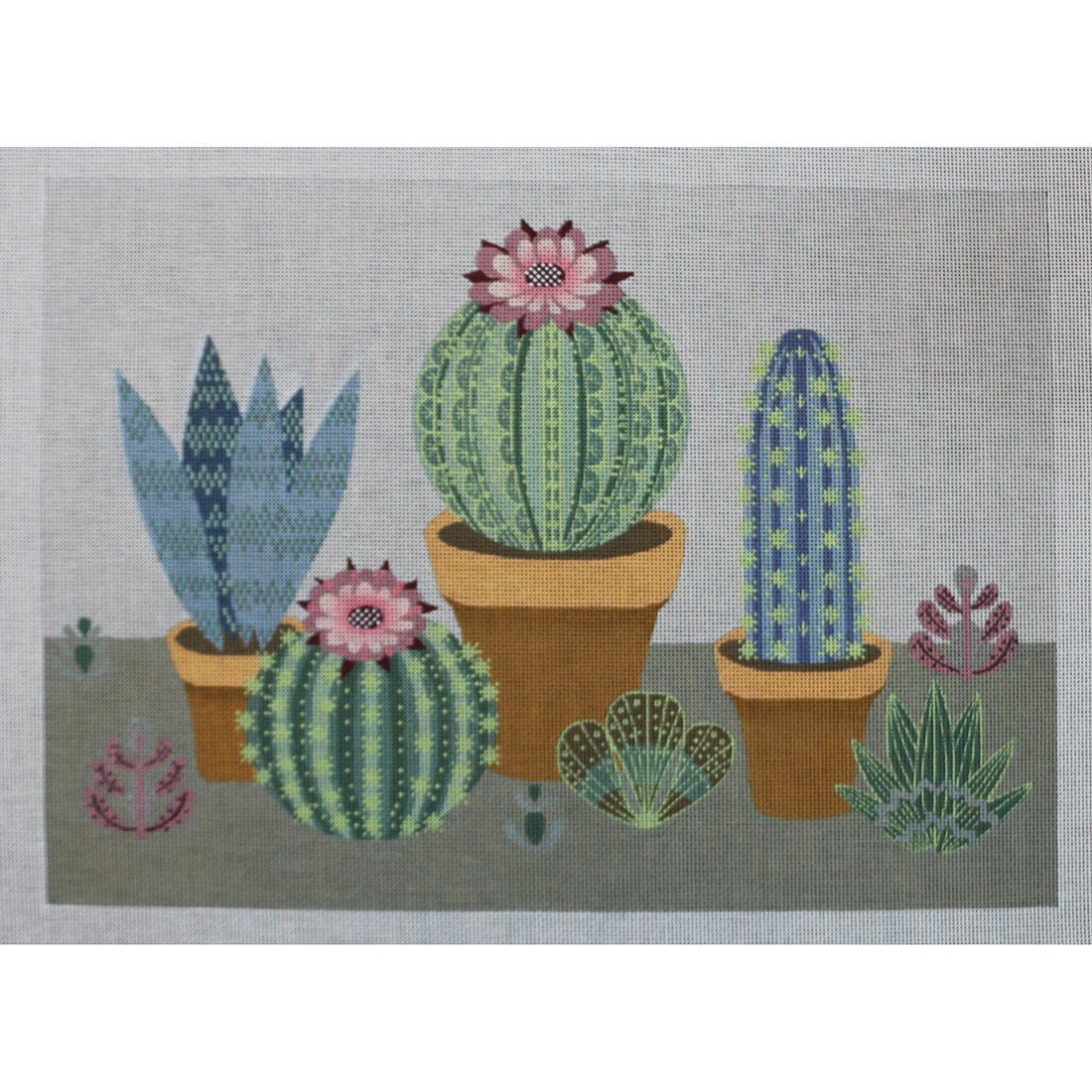 Cactus