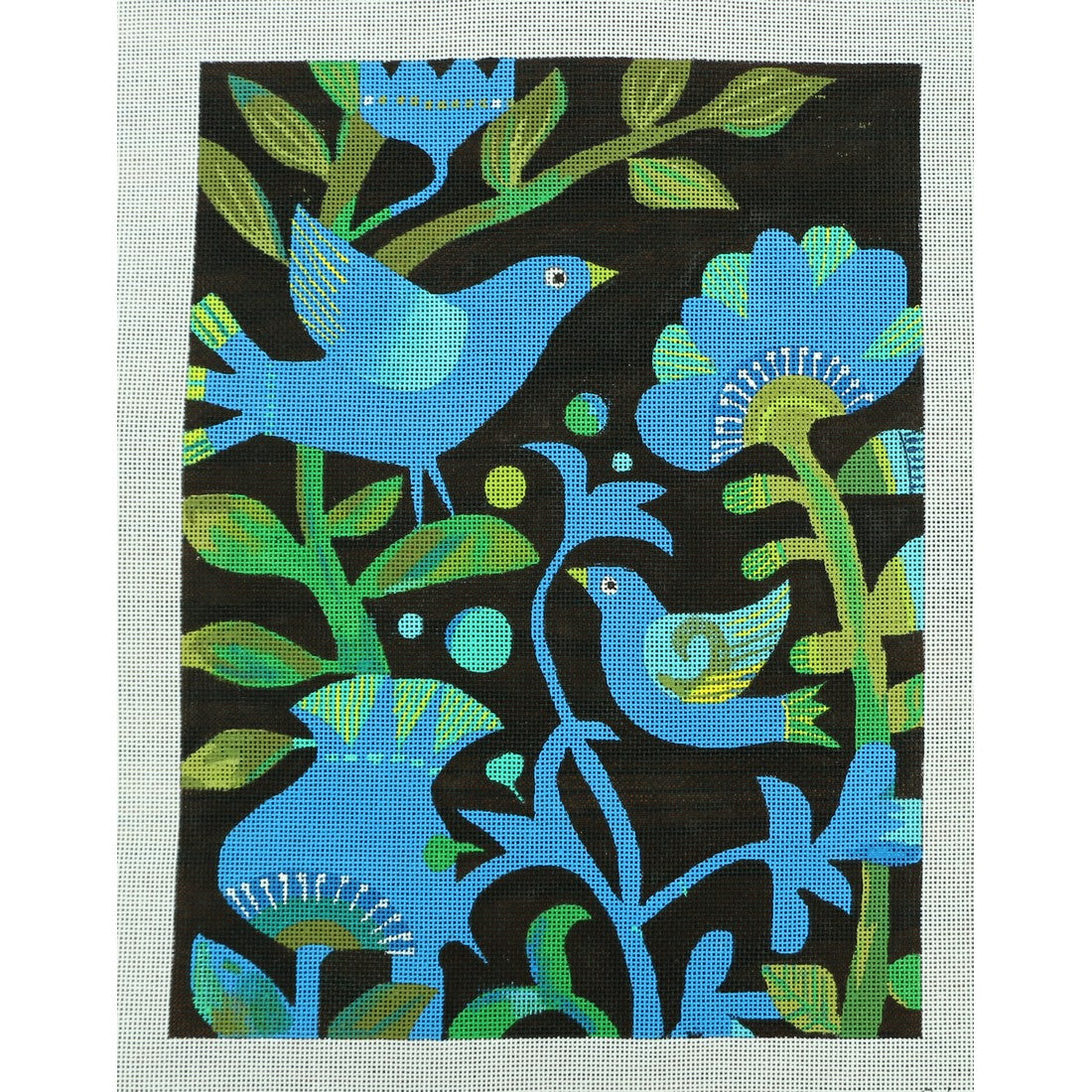 Birds of Paradise