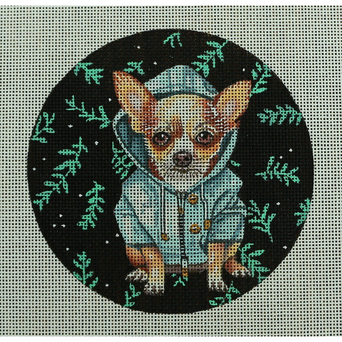 Chihuahua with Sweatshirt