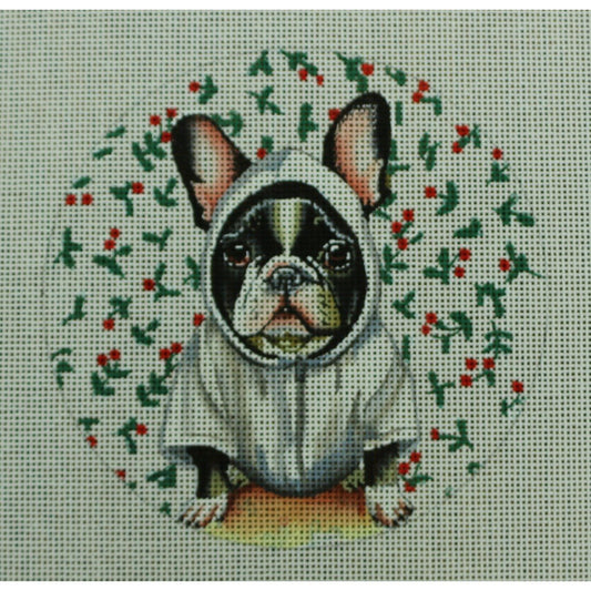 Boston Terrier in Sweatshirt