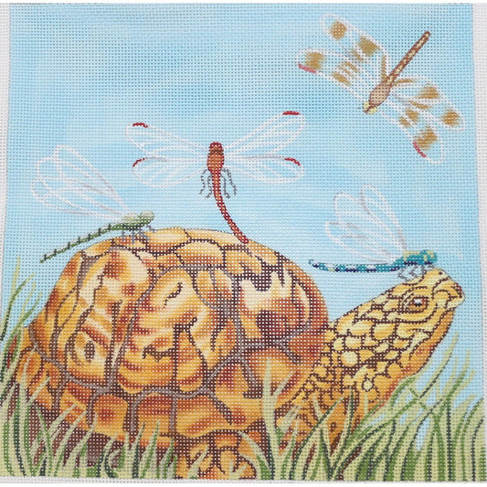 Turtle Schoolbus