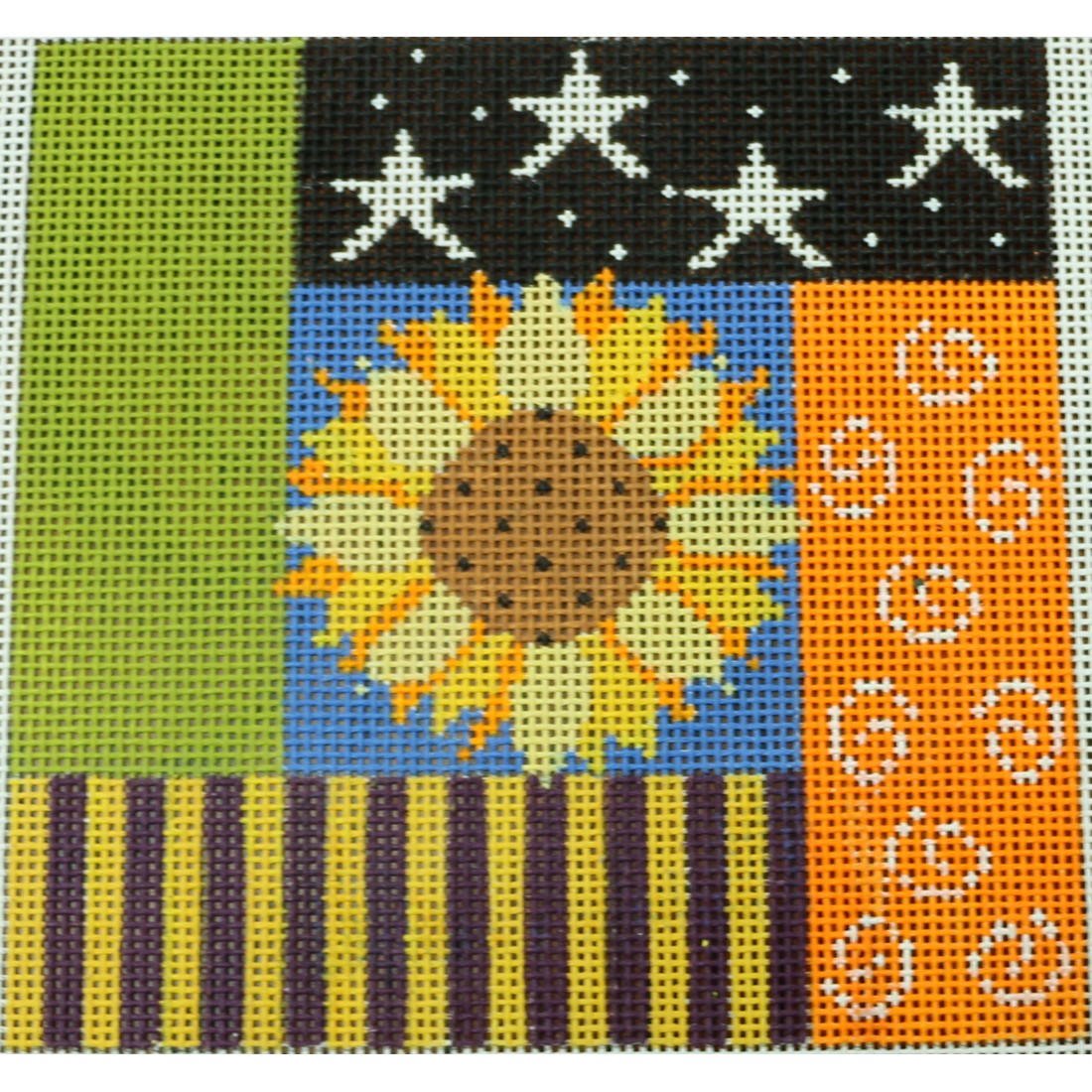 Sunflower in Square