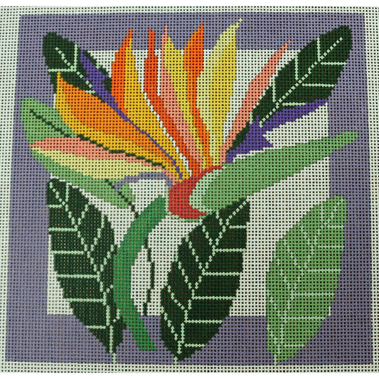 Bird of Paradise
