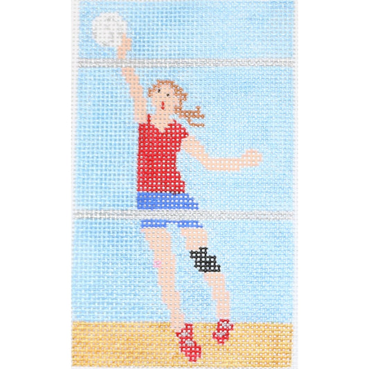 Volleyball Champ