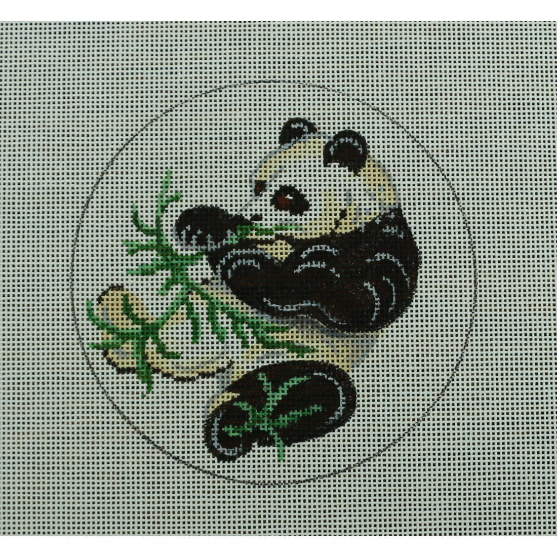 Panda Sitting