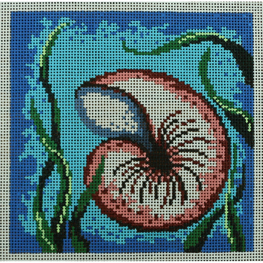 Nautilus Shell