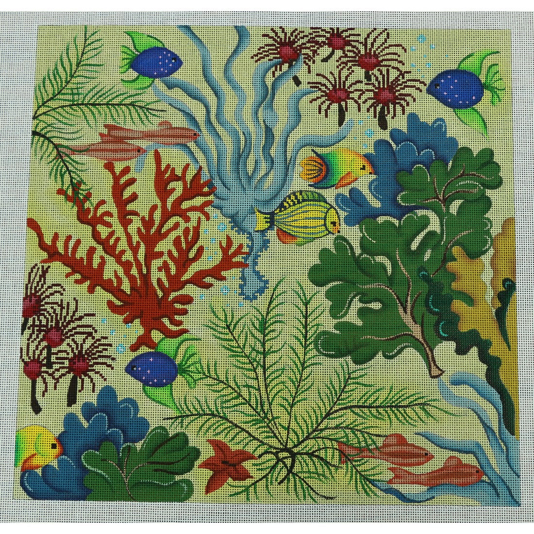 Tropical Sealife