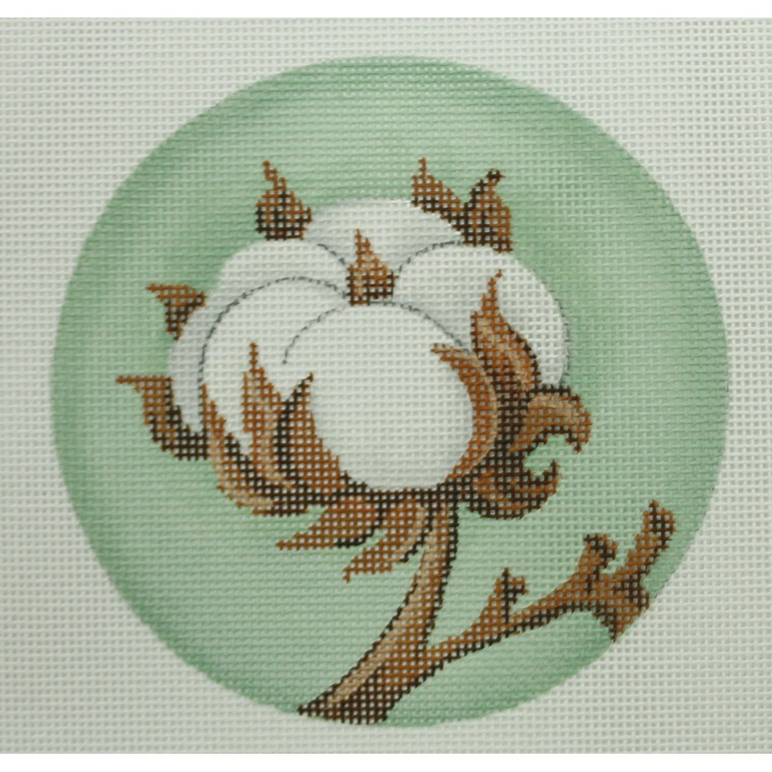 Cotton Boll