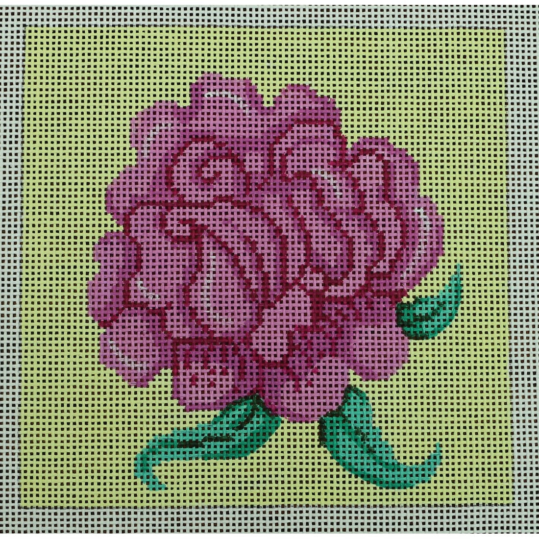 Pink Rose