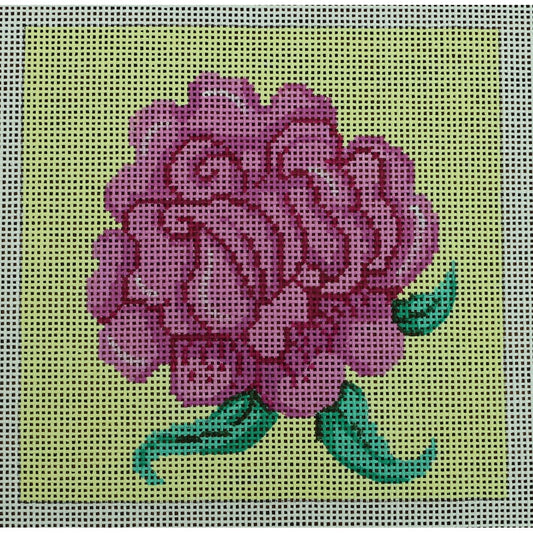 Pink Rose