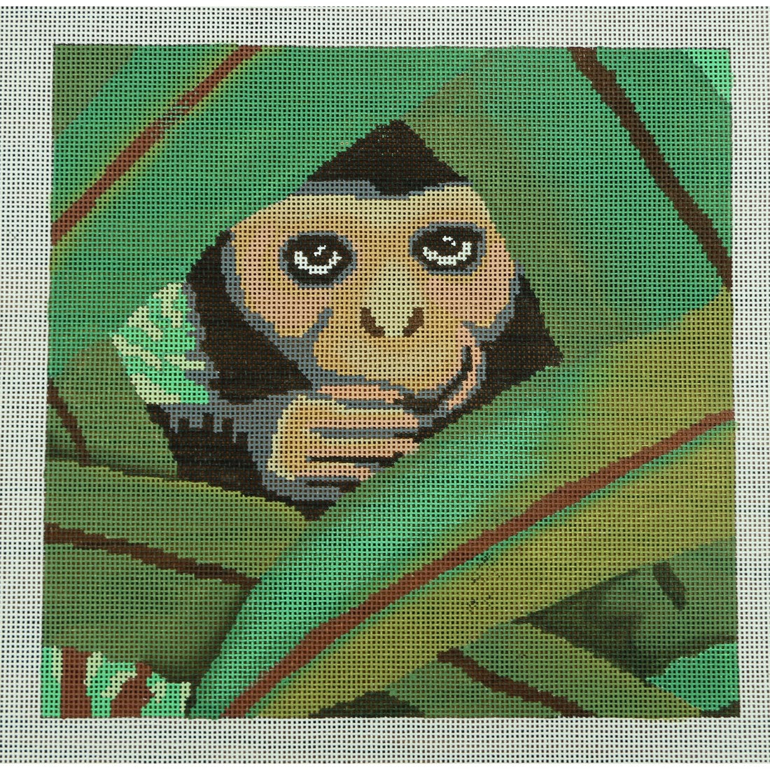 Monkey Peeking