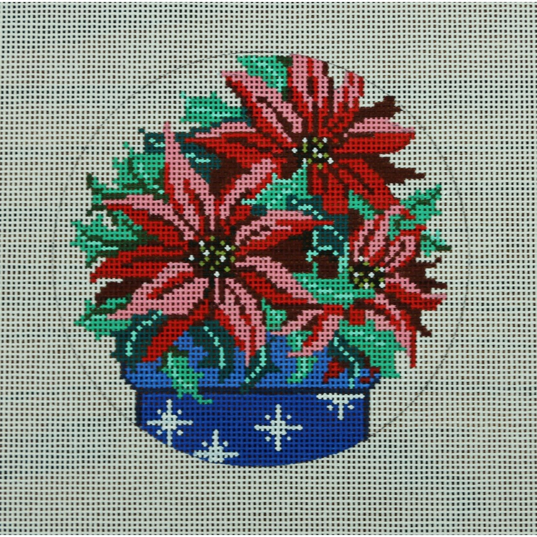 Poinsettia