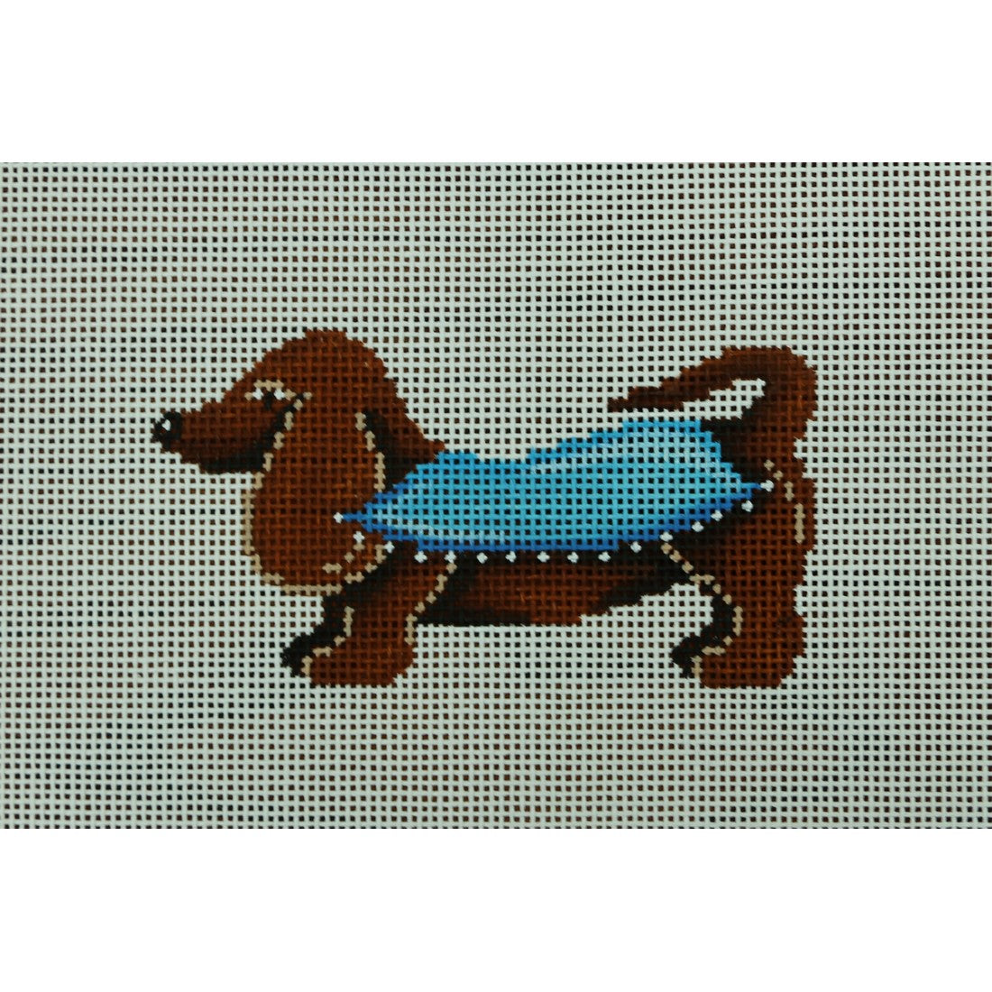 Dachshund, Blue Blanket