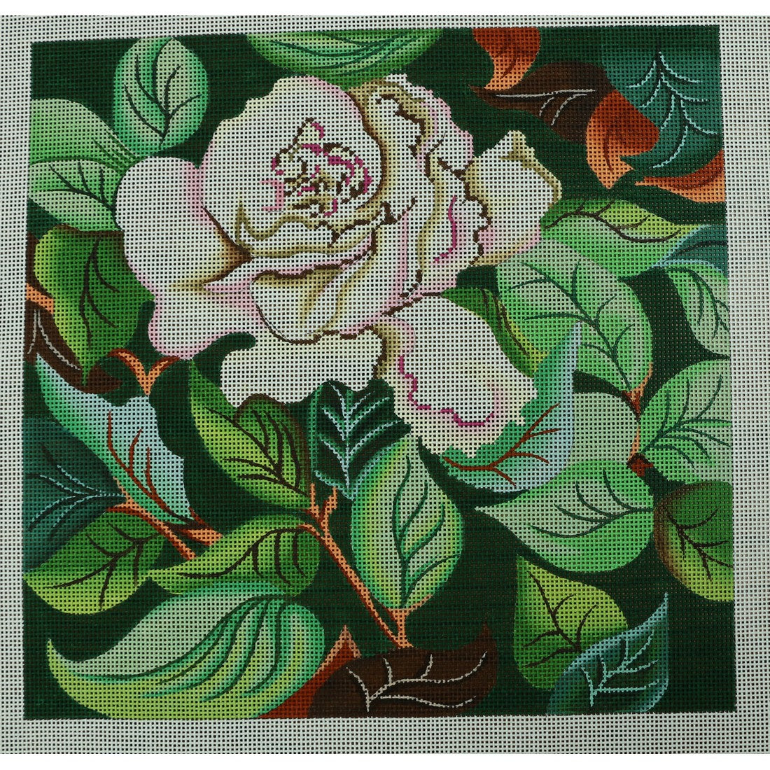 White Rose