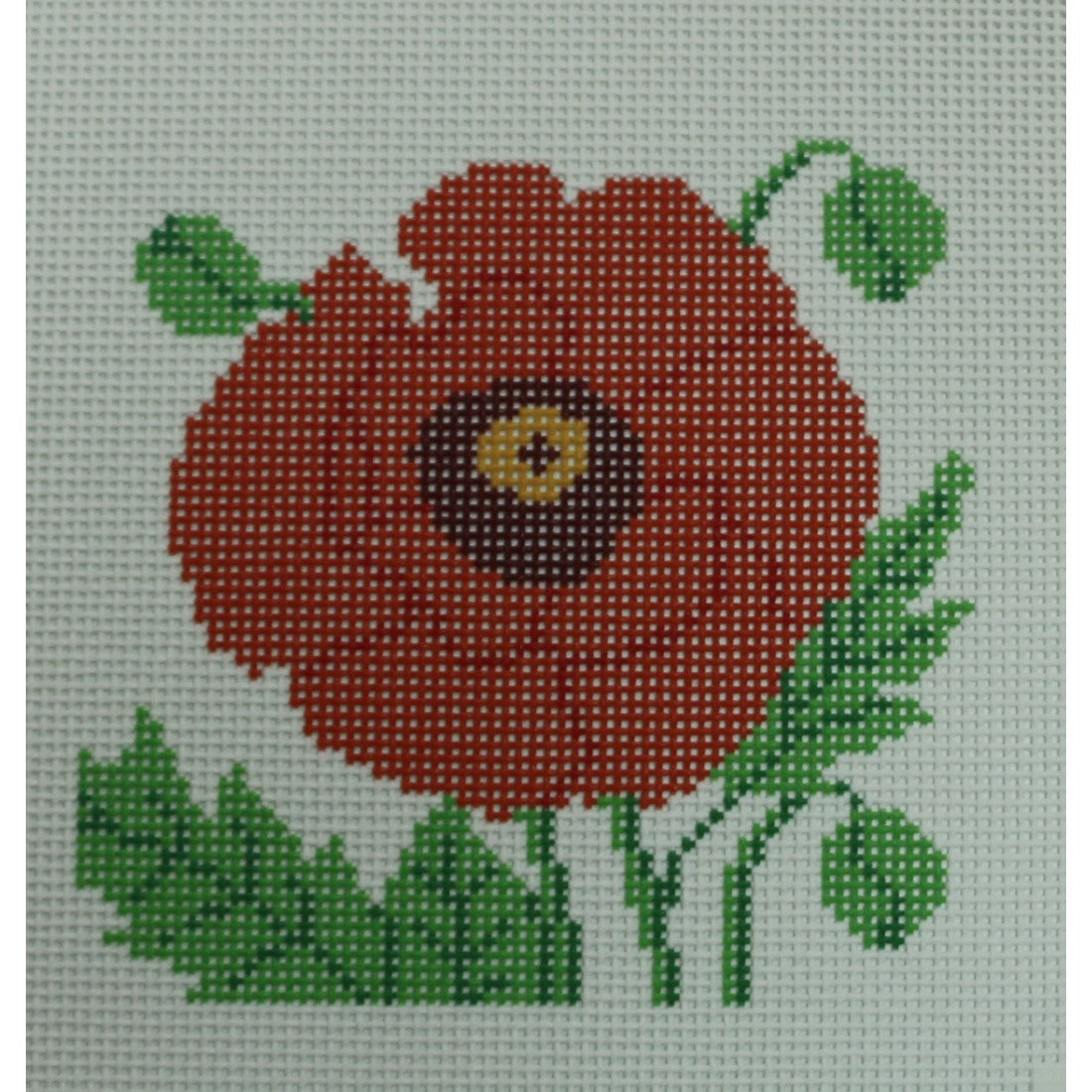 Poppy