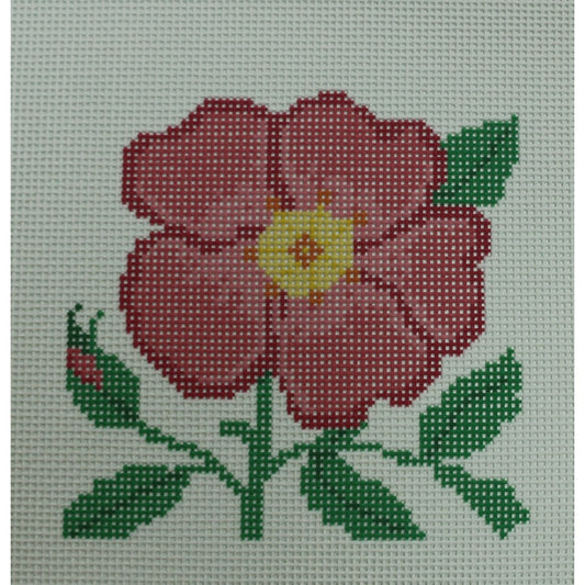 Wild Rose