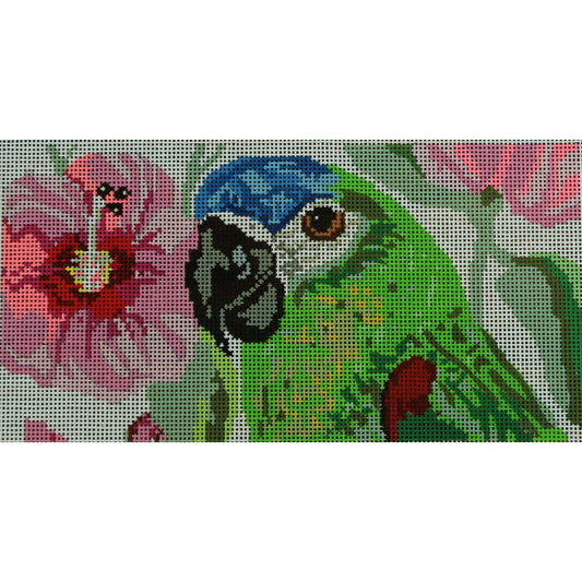Parrot Insert