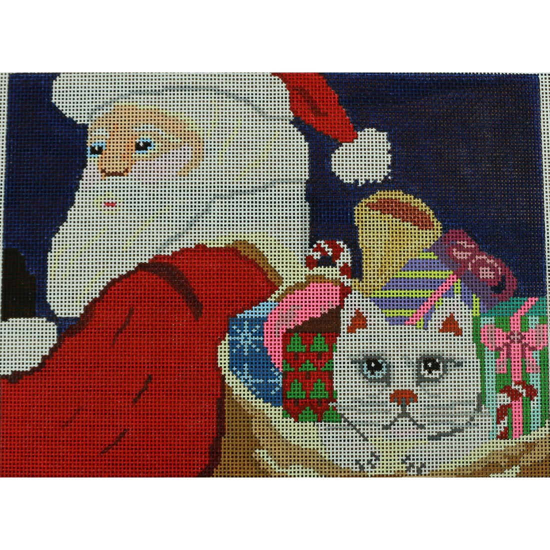 Santa with Cat
