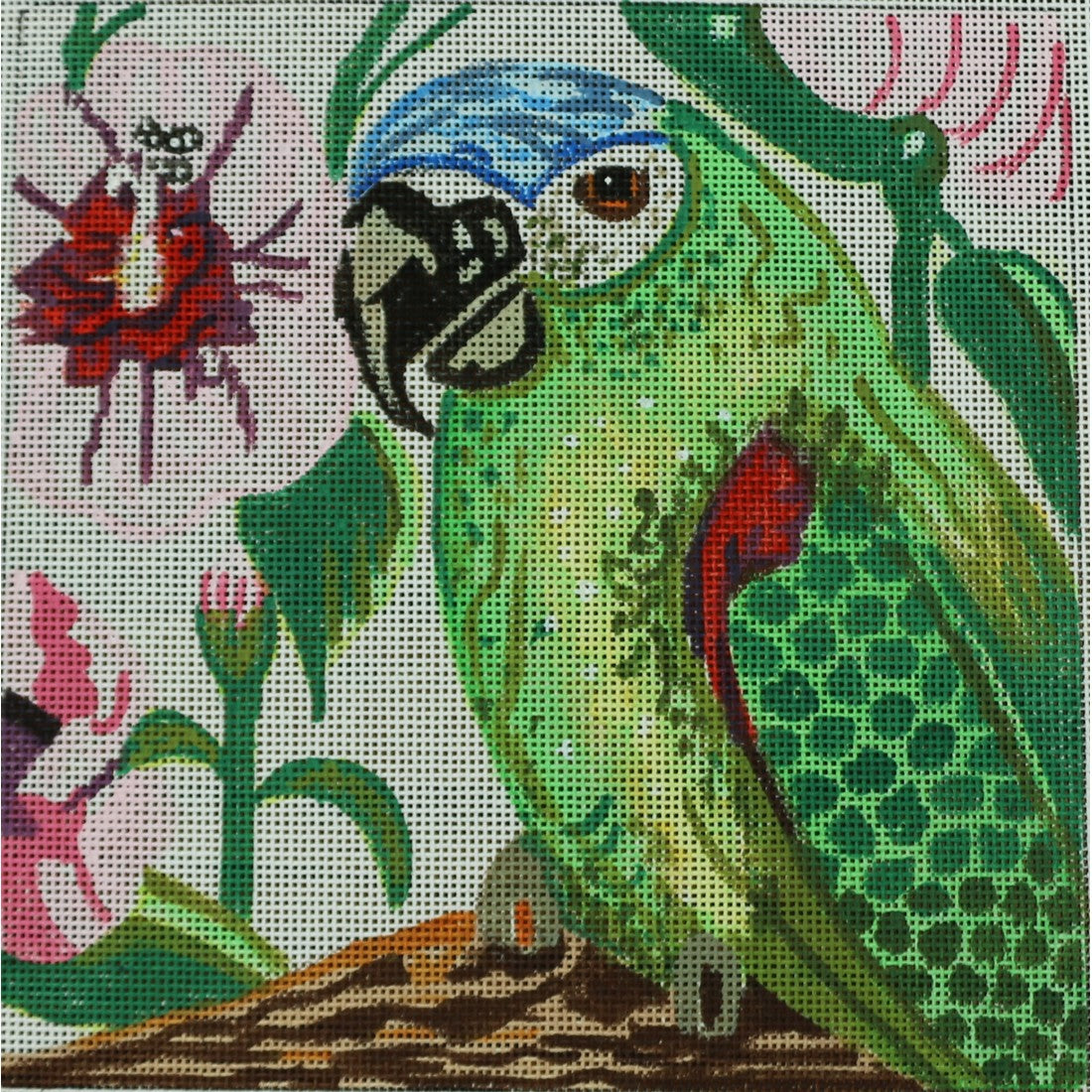 Parrot