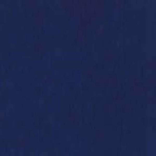 Elephant on Blue & Lime