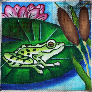 Frog on Lily Pad