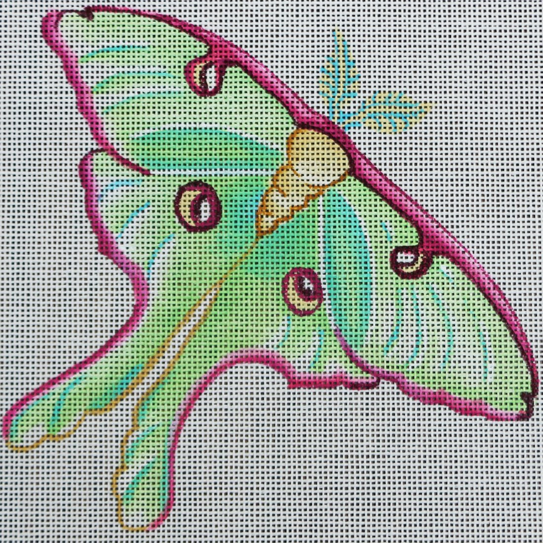 Green Butterfly