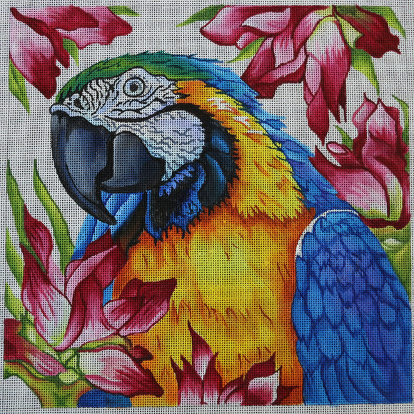 Parrot w/ Floral Background